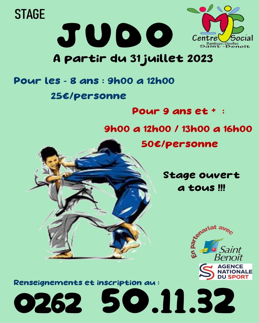 Affiche stage judo